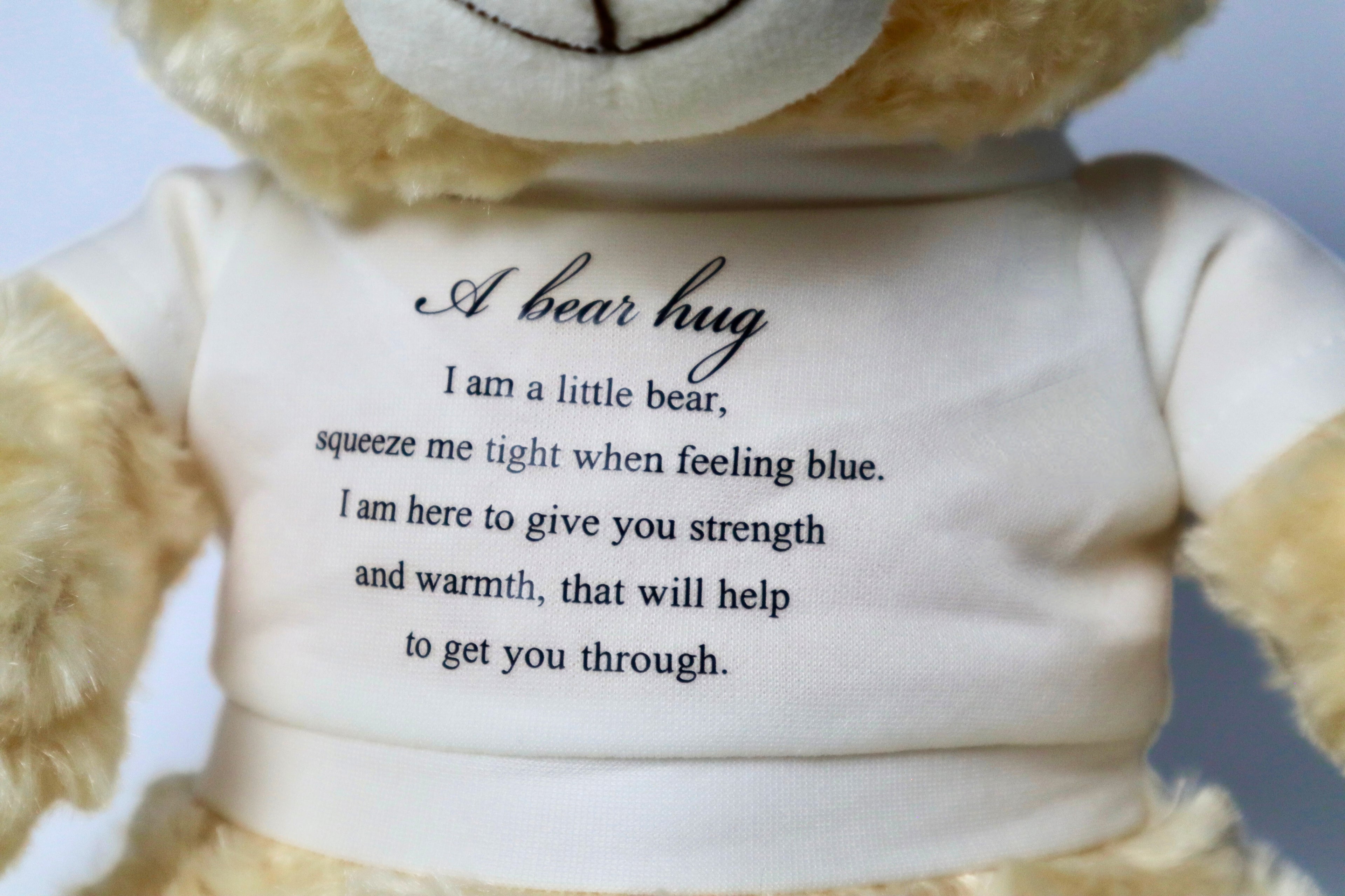 "Bear Hug" Stuffed Bear