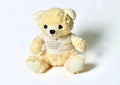 "Bear Hug" Stuffed Bear
