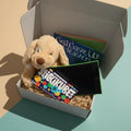 Sibling Loss Gift Box